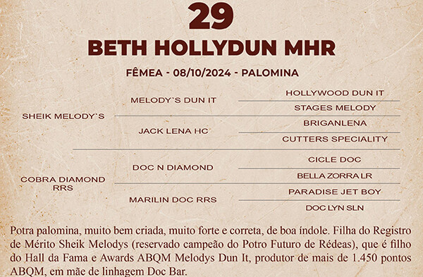 Geração BETH HOLLYDUN MHR