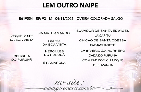 Geração LEM OUTRO NAIPE