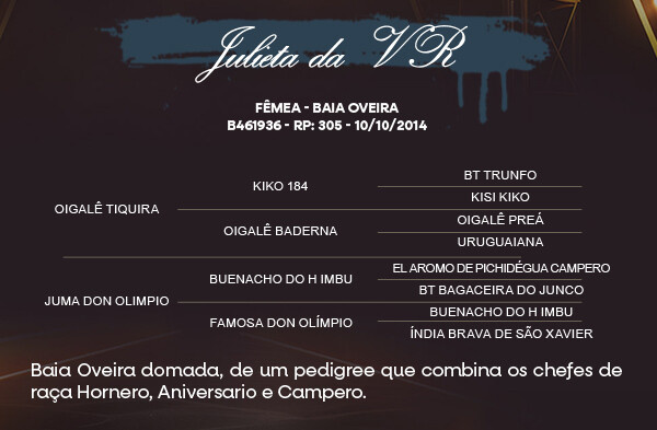 Geração JULIETA DA VR