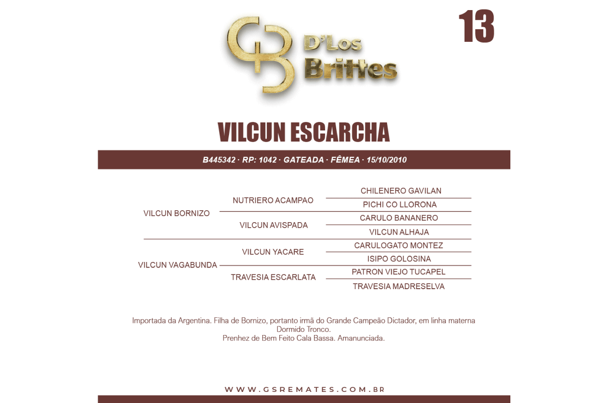 Geração VILCUN ESCARCHA