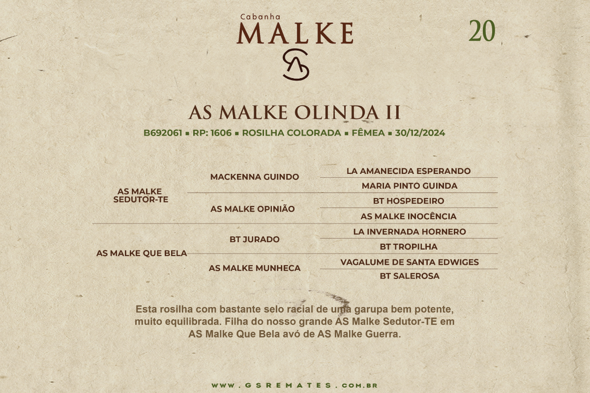 Geração AS MALKE OLINDA II