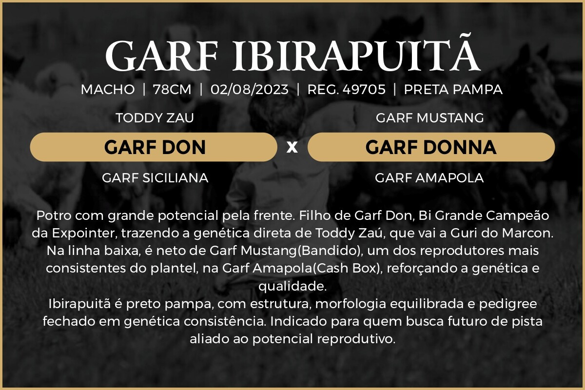 Geração GARF IBIRAPUITA