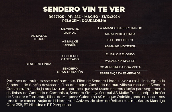 Geração SENDERO VIN TE VER