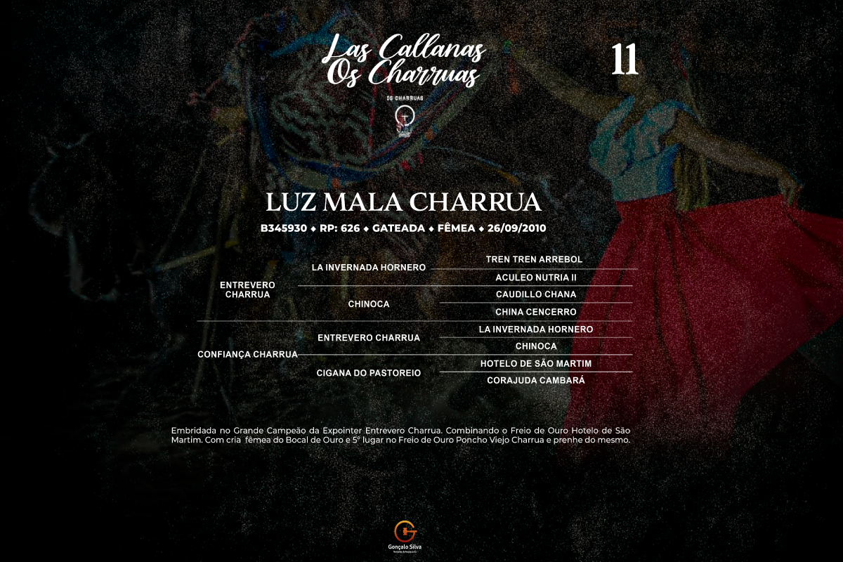 Geração LUZ MALA CHARRUA