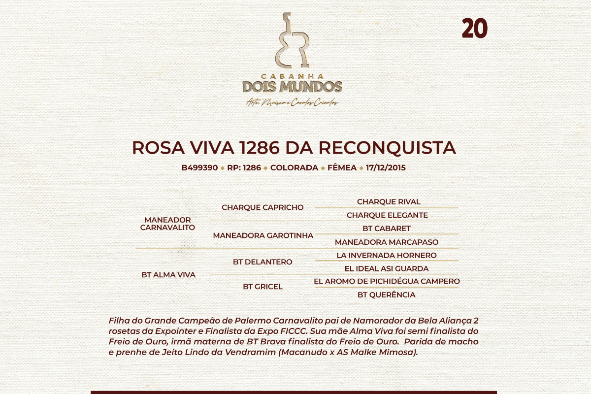 Geração ROSA VIVA 1286 DA RECONQUISTA
