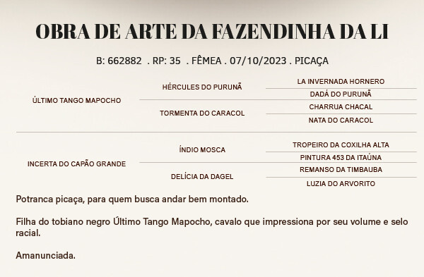 Geração OBRA DE ARTE DA FAZENDINHA DA LI