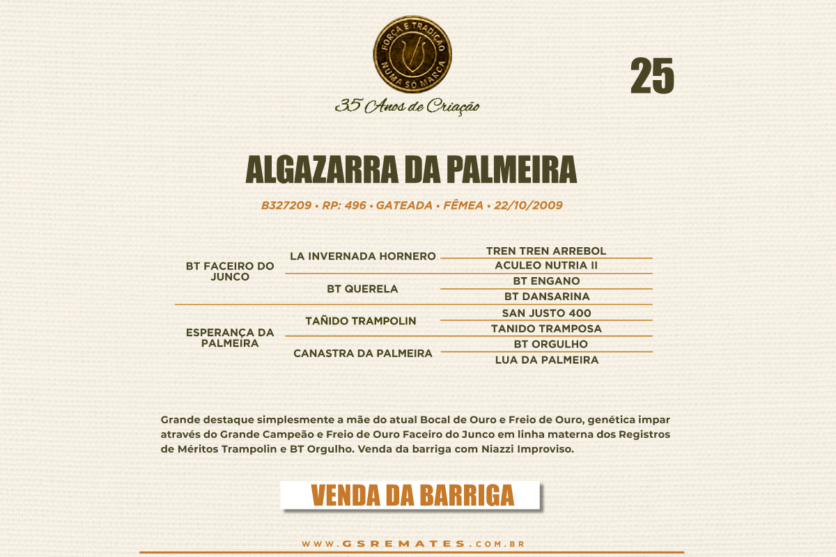 Geração ALGAZARRA DA PALMEIRA ( VENDA DA BARRIGA )