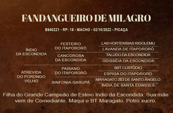 Geração FANDANGUEIRO DE MILAGRO 