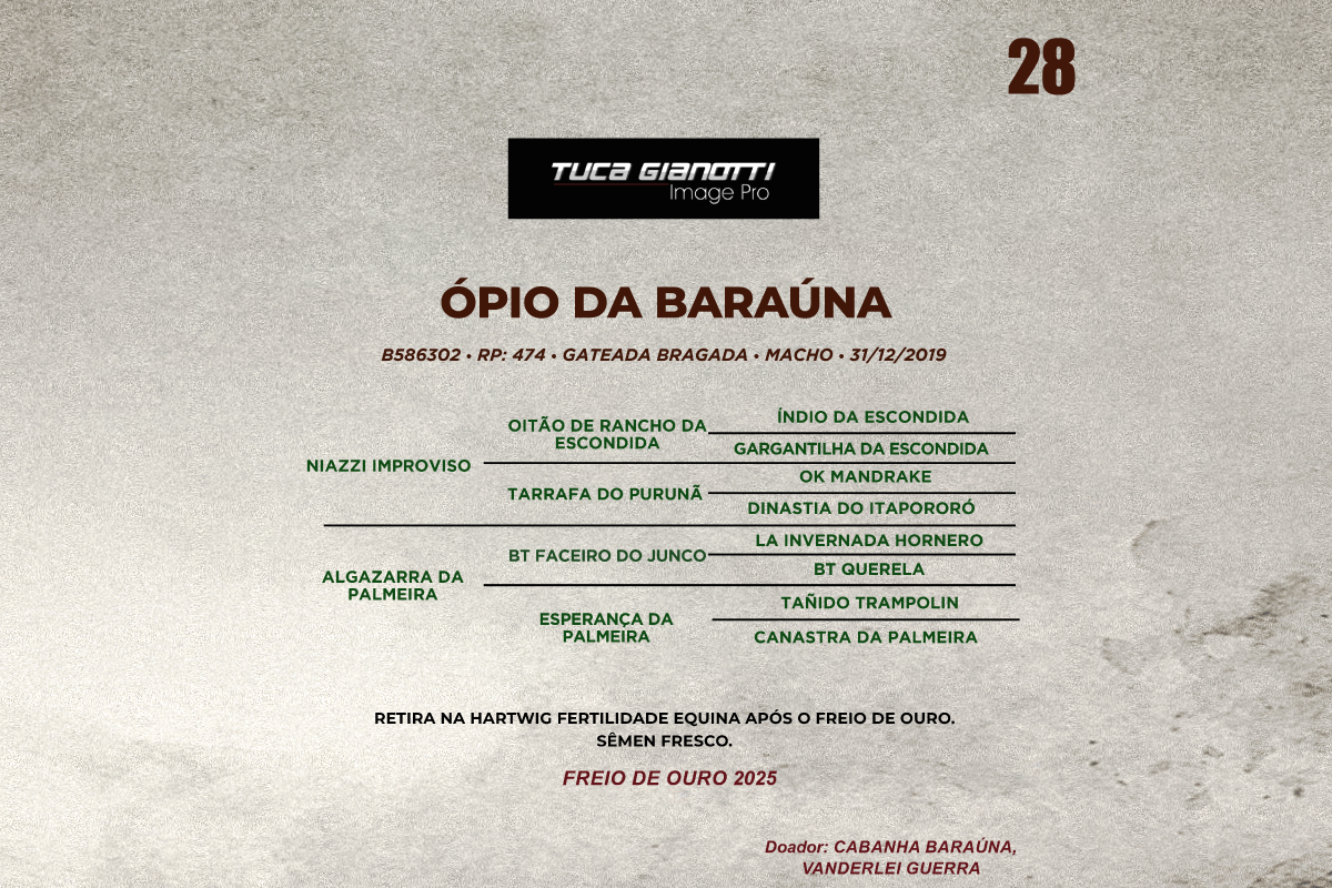 Geração OPIO DA BARAUNA 