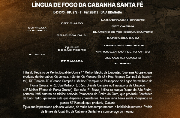 Geração LINGUA DE FOGO DA CABANHA SANTA FÉ