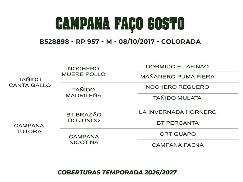 Geração COBERTURA CAMPANA FAÇO GOSTO 