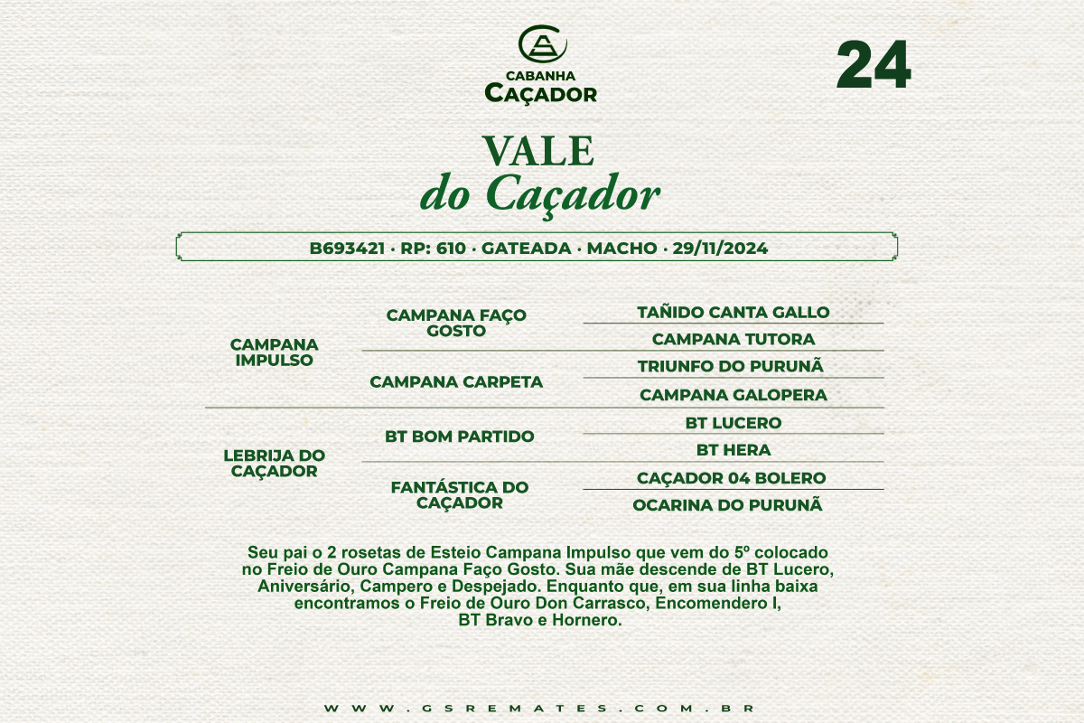 Geração VALE DO CAÇADOR 