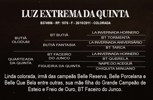 Geração LUZ EXTREMA DA QUINTA 