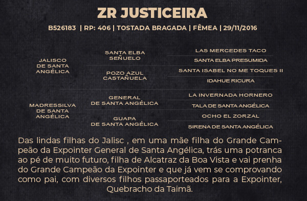 Geração ZR JUSTICEIRA