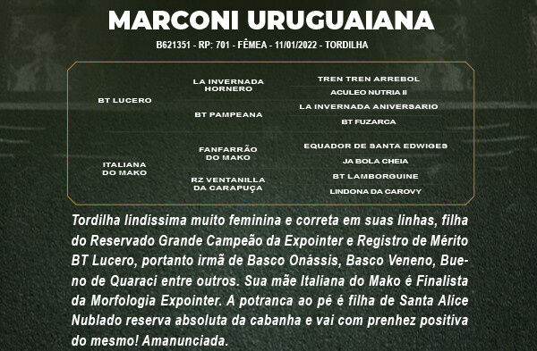 Geração MARCONI URUGUAIANA 