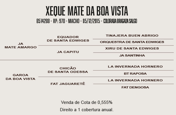 Geração XEQUE MATE DA BOA VISTA ( DIR DE USO 1 COBERTURA )