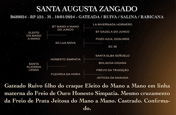 Geração SANTA AUGUSTA ZANGADO