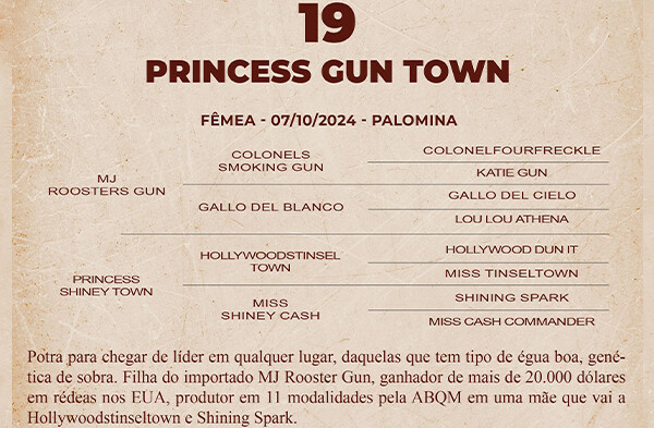 Geração PRINCESS GUN TWON 