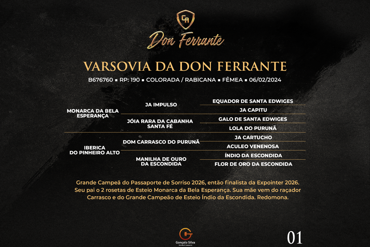 Geração VARSOVIA DA DON FERRANTE 