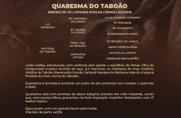 Geração QUARESMA DO TABOÃO 