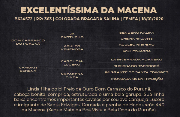 Geração EXCELENTISSÍMA DA MACENA