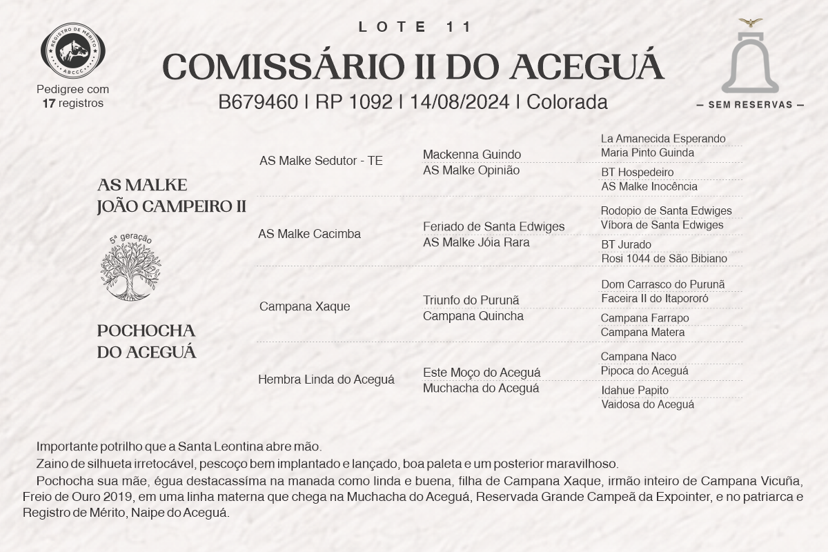 Geração COMISSÁRIO II DO ACEGUÁ
