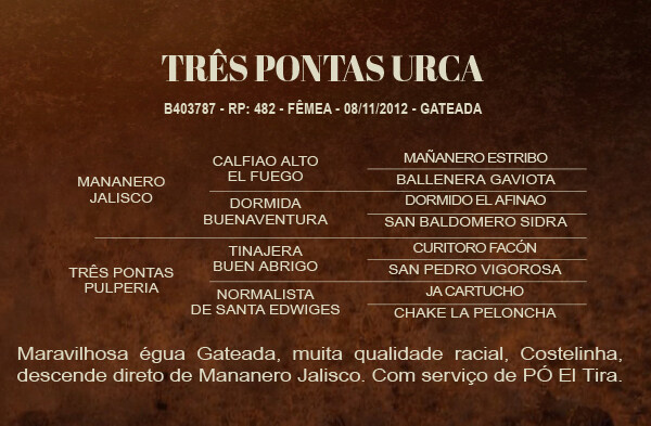 Geração TRES PONTAS URCA 