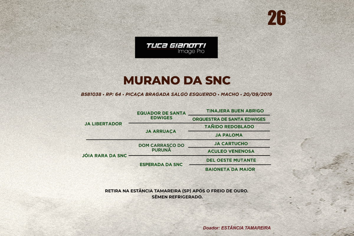 Geração MURANO DA SNC 
