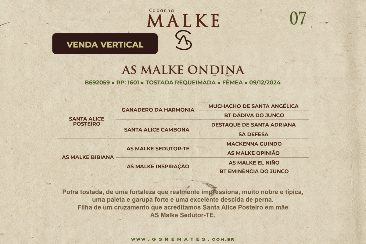 Geração VERTICAL AS MALKE ONDINA OU AS MALKE OSTRA
