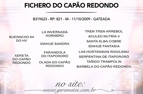 Geração FICHERO DO CAPÃO REDONDO