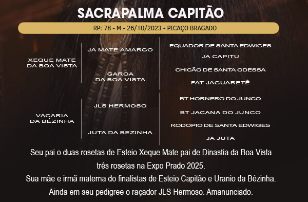 Geração SACRAPALMA CAPITÃO 
