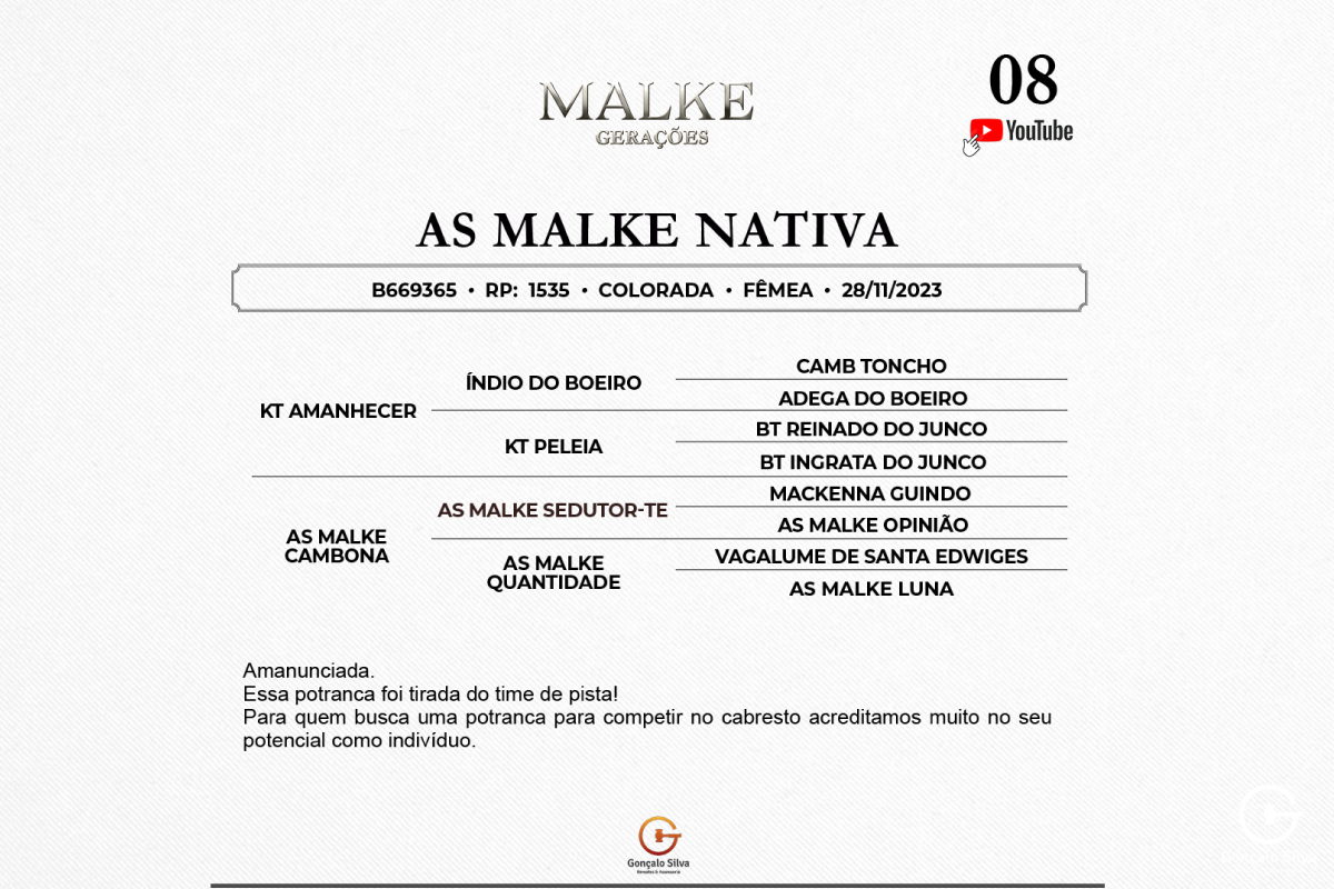 Geração AS MALKE NATIVA