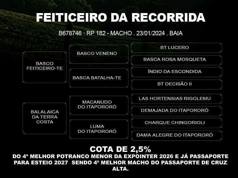 Geração COTA DE 2,5% FEITICEIRO DA RECORRIDA