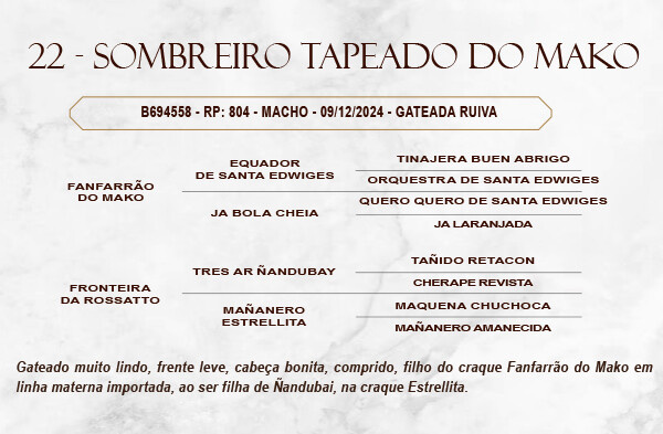 Geração SOMBREIRO TAPEADO DO MAKO