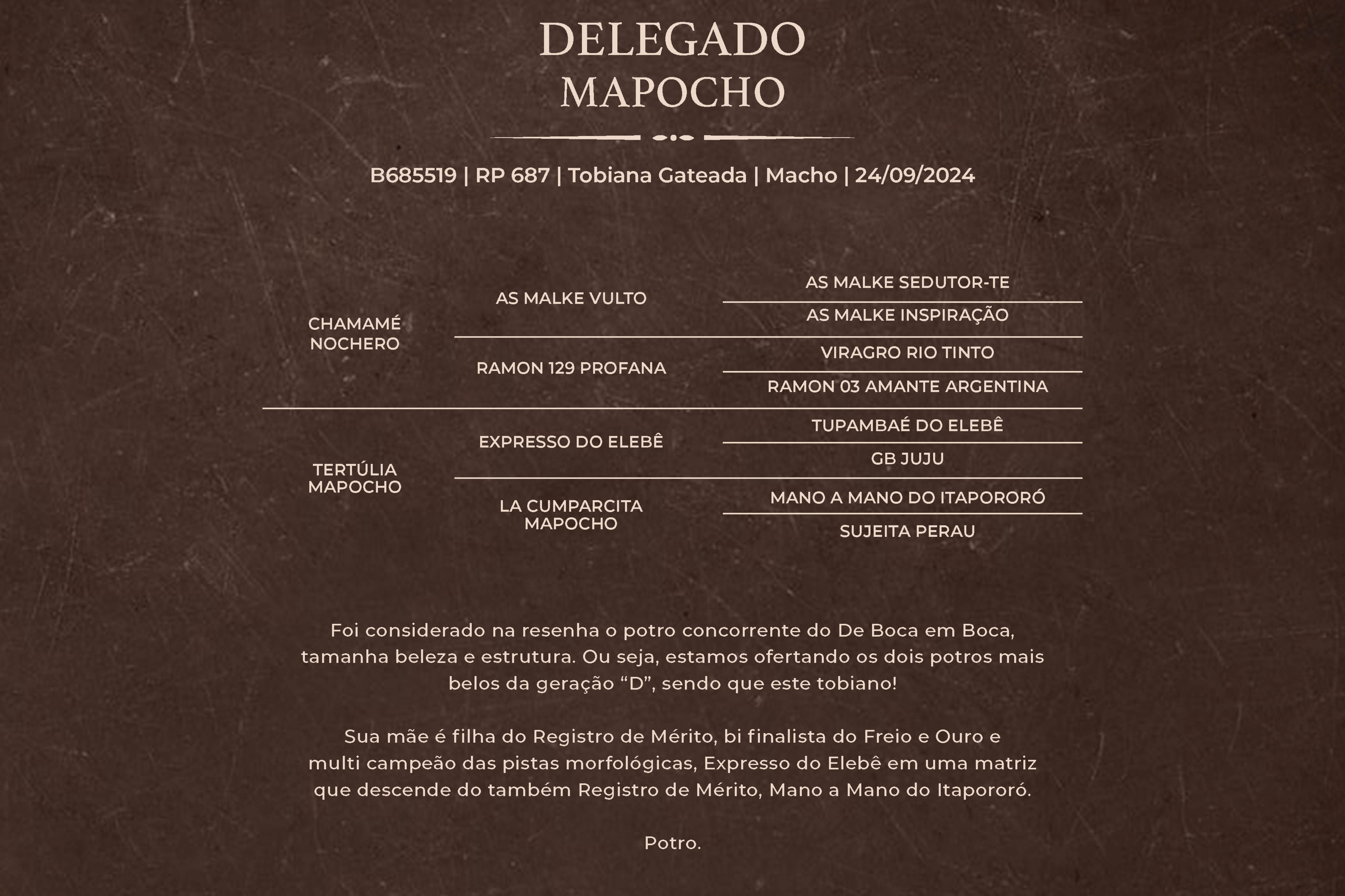 Geração DELEGADO MAPOCHO