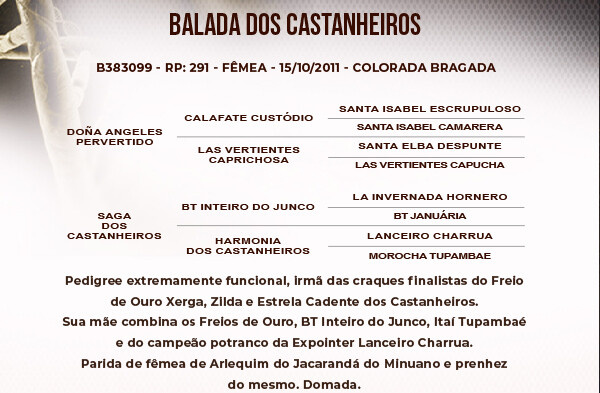 Geração BALADA DOS CASTANHEIROS 