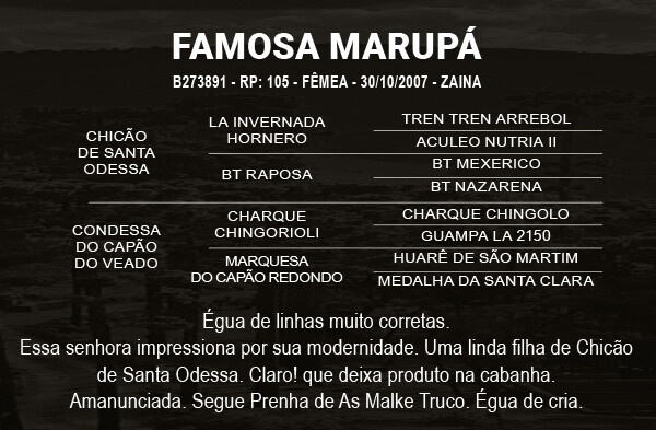 Geração FAMOSA MARUPÁ