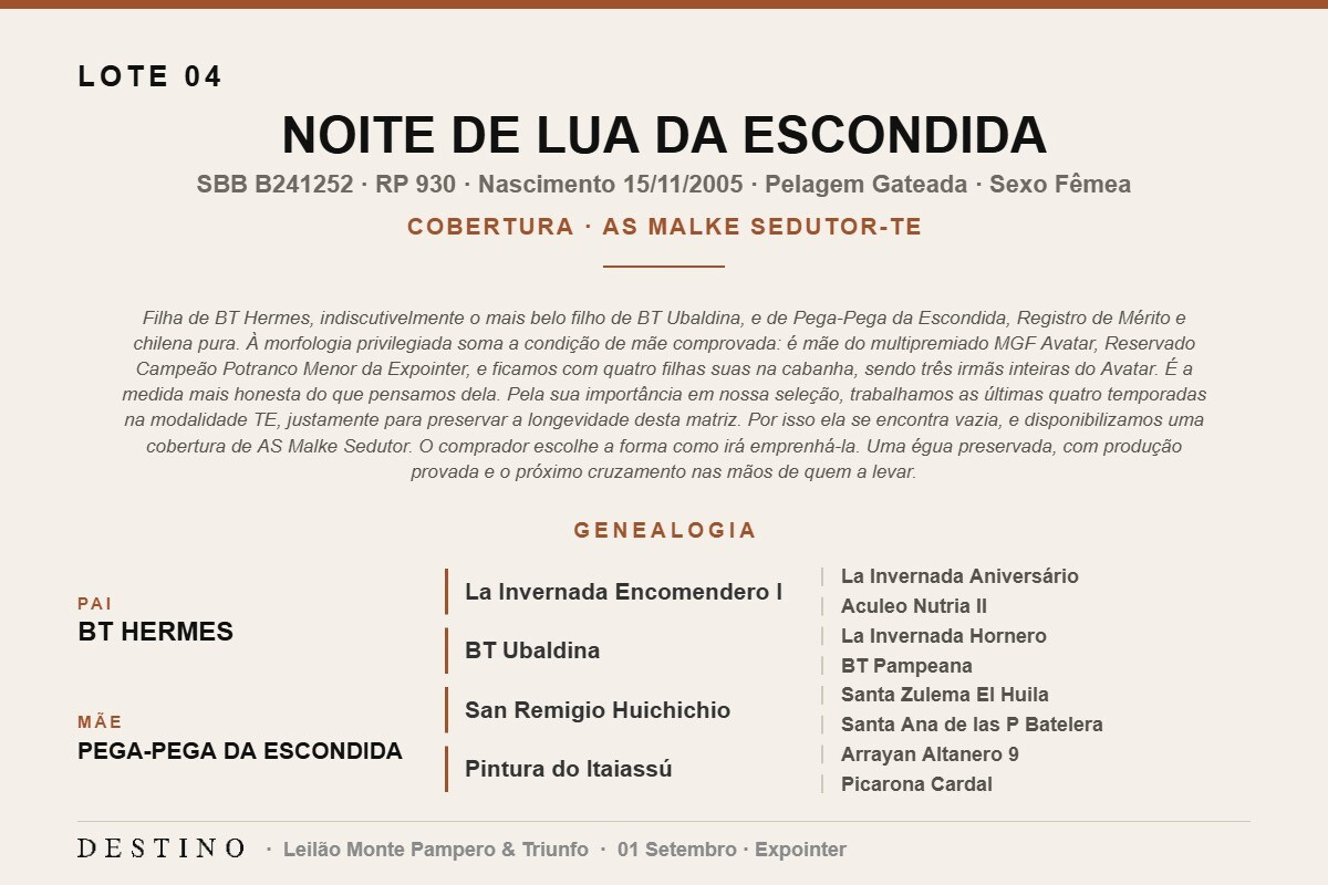 Geração NOITE DE LUA DE ESCONDIDA