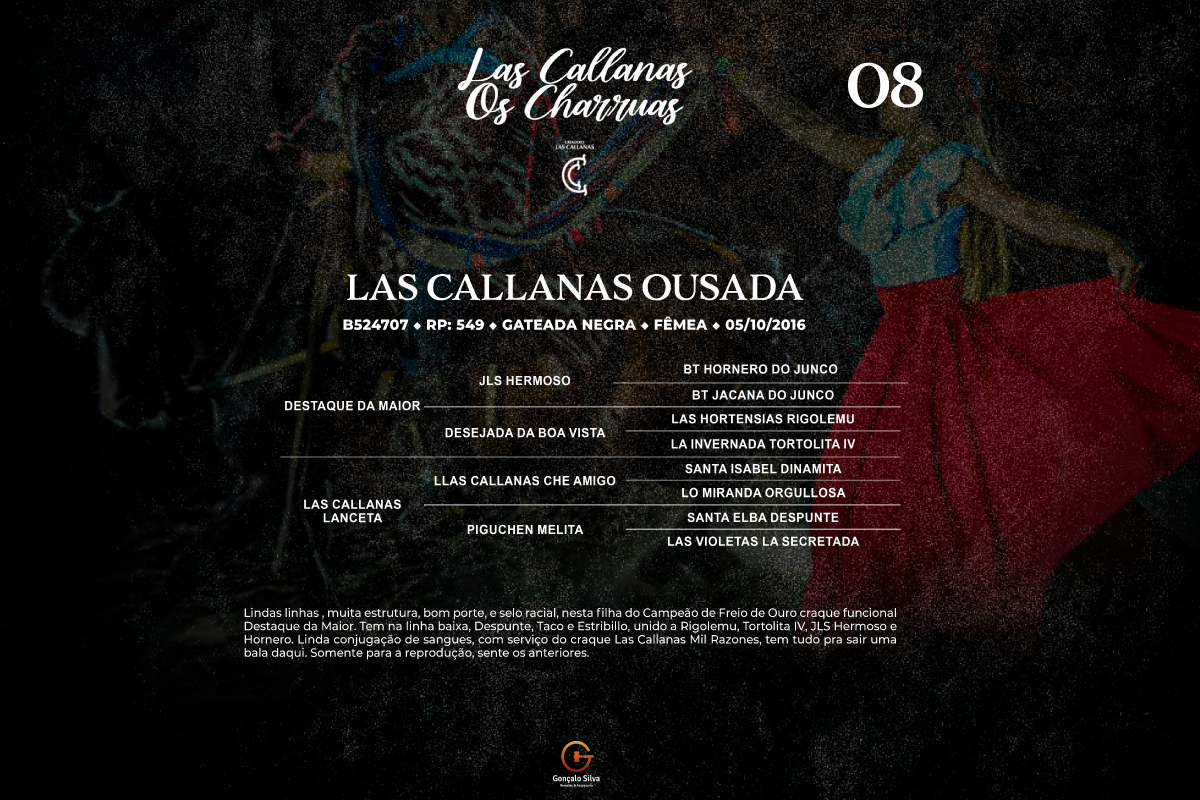 Geração LAS CALLNAS OUSADA