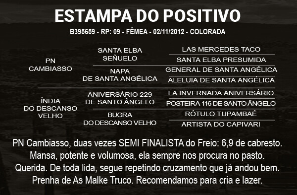 Geração ESTAMPA DO POSITIVO