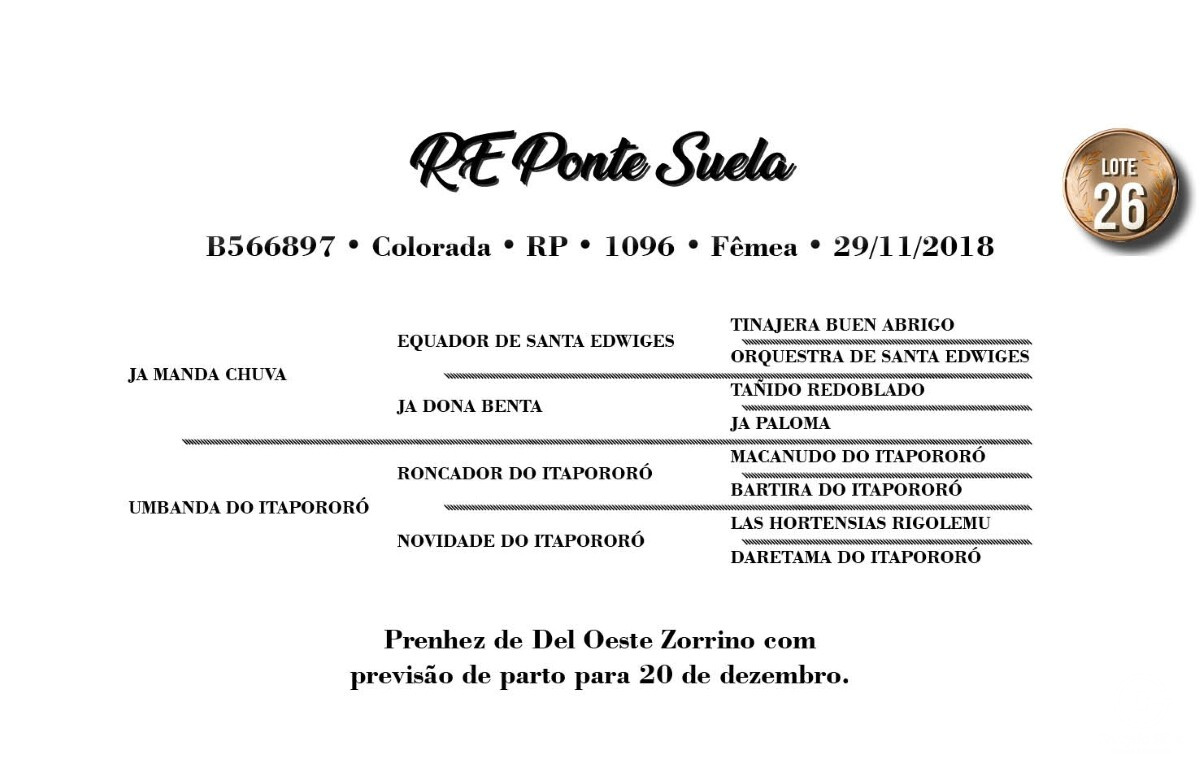 Geração RE PONTE SUELA