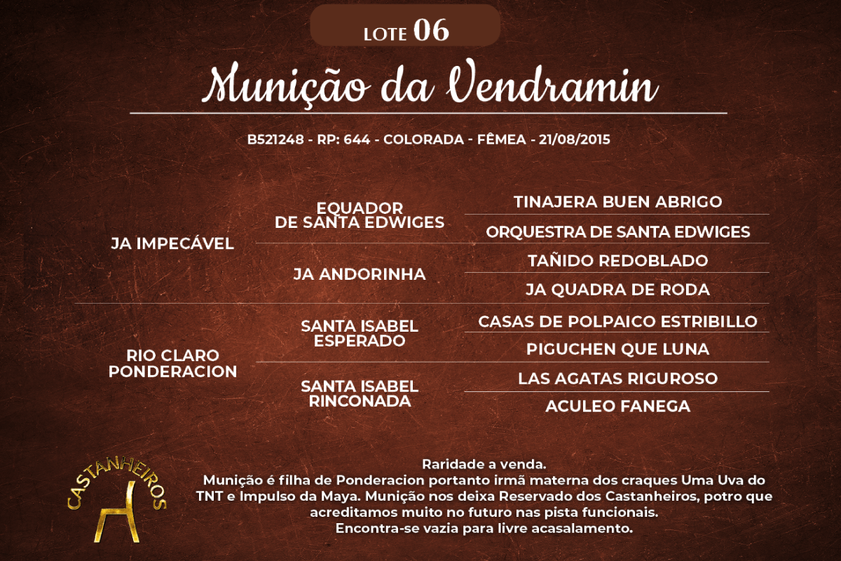 Geração MUNIÇÃO DA VENDRAMIN