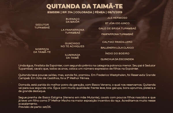 Geração QUITANDA DA TAIMÃ - TE