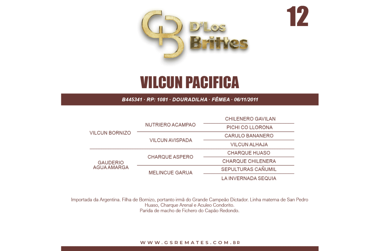 Geração VILCUN PACIFICA