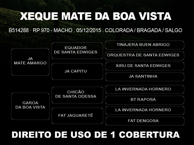 Geração DIREITO DE USO DE 1 COBERTURA XEQUE MATE DA BOA VISTA 