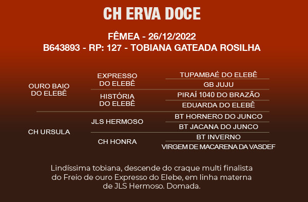 Geração CH ERVA DOCE