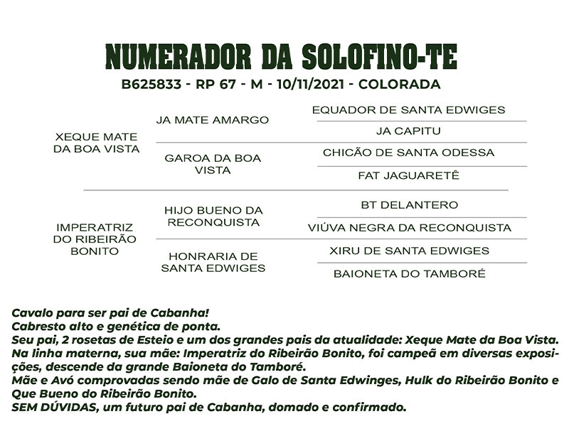 Geração NUMERADOR DO SOLOFINO - TE 