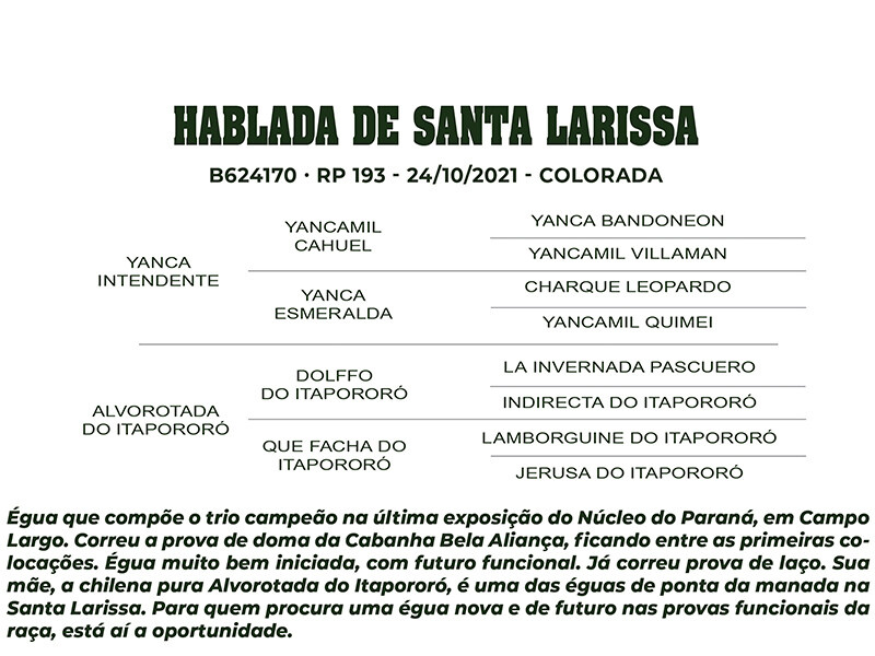 Geração HABLADA DE SANTA LARISSA 