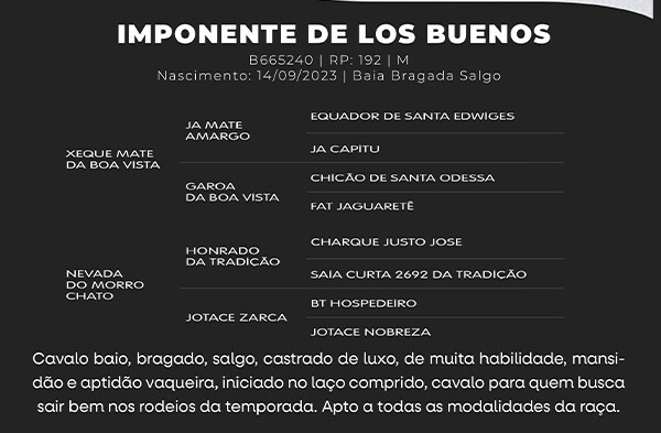 Geração IMPONENTE DE LOS BUENOS