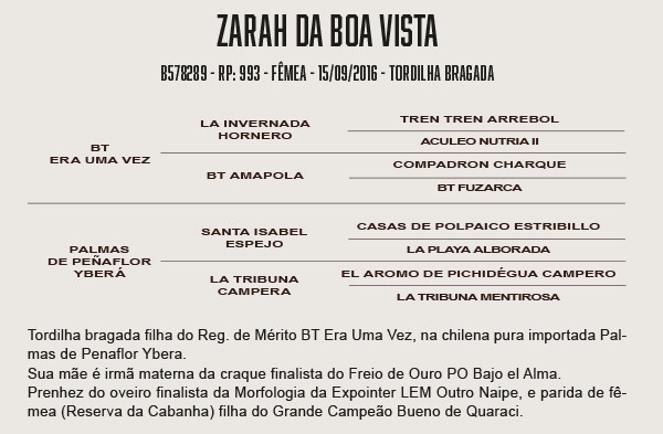 Geração ZARAH DA BOA VISTA